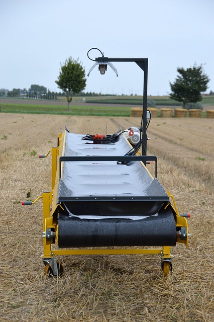 agriculture-3739217_640