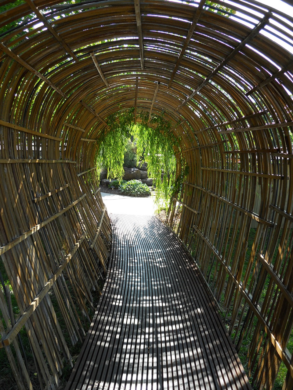 bamboo-tunnel-282547_1280