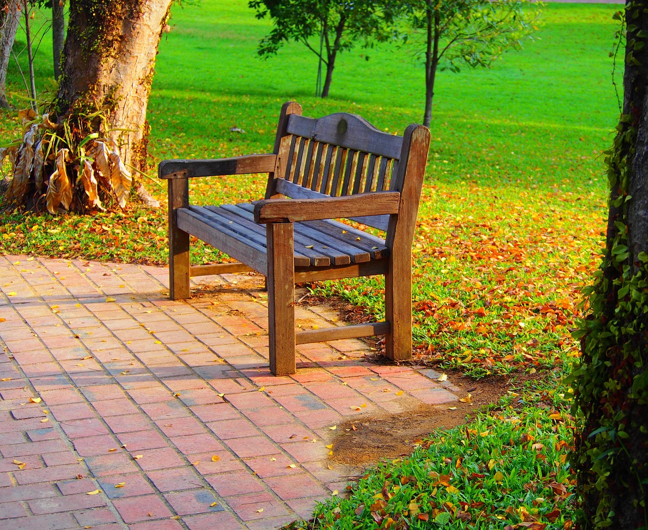bench-3189994_1280
