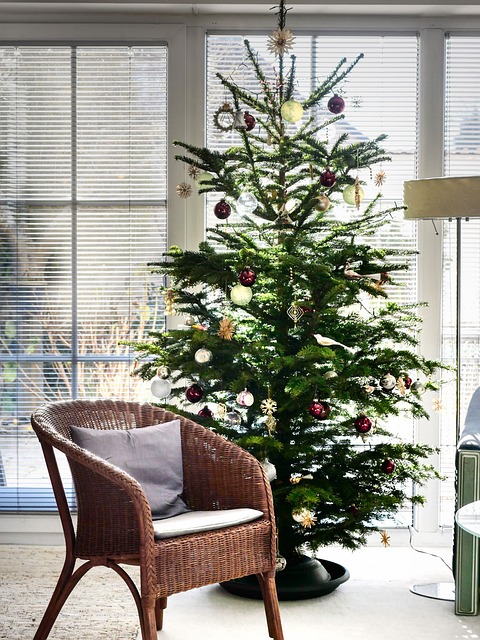 christmas-tree-6882427_640