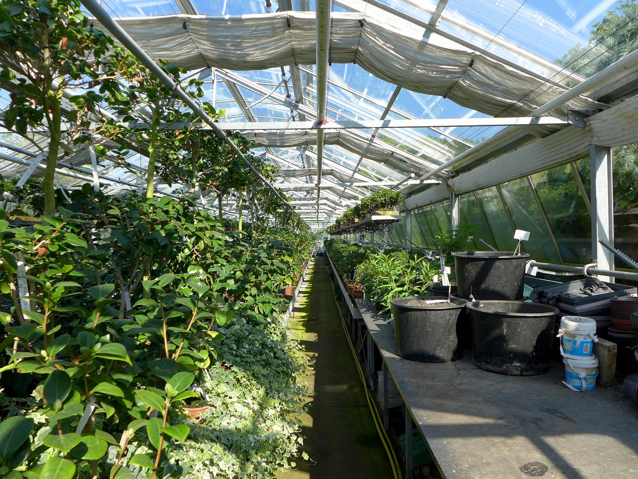 greenhouse-2499758_1280