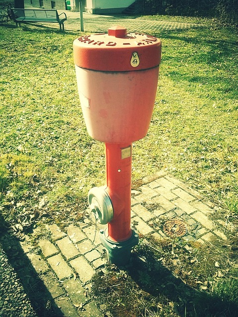 hydrant-283842_640