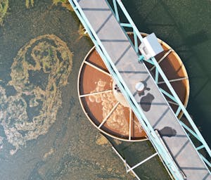 pexels-852647495-27490882