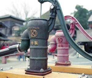 pexels-alankrantas-31355851