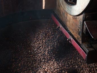 pexels-alejandro-aznar-155337093-31890550