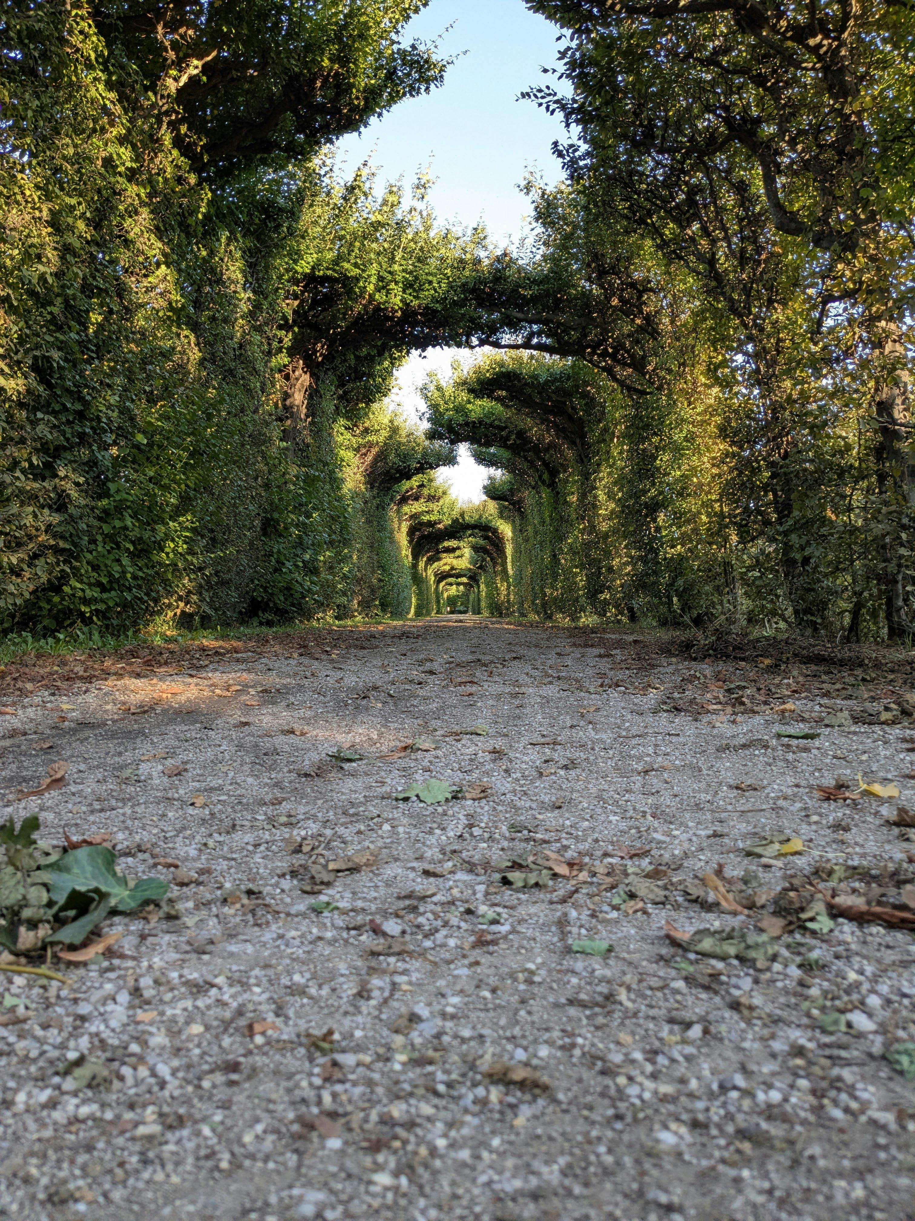 pexels-alex-ferson-380091788-34456953