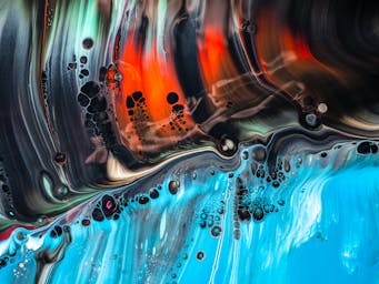 pexels-alexant-19685686