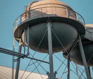 pexels-alexquezada-7004241