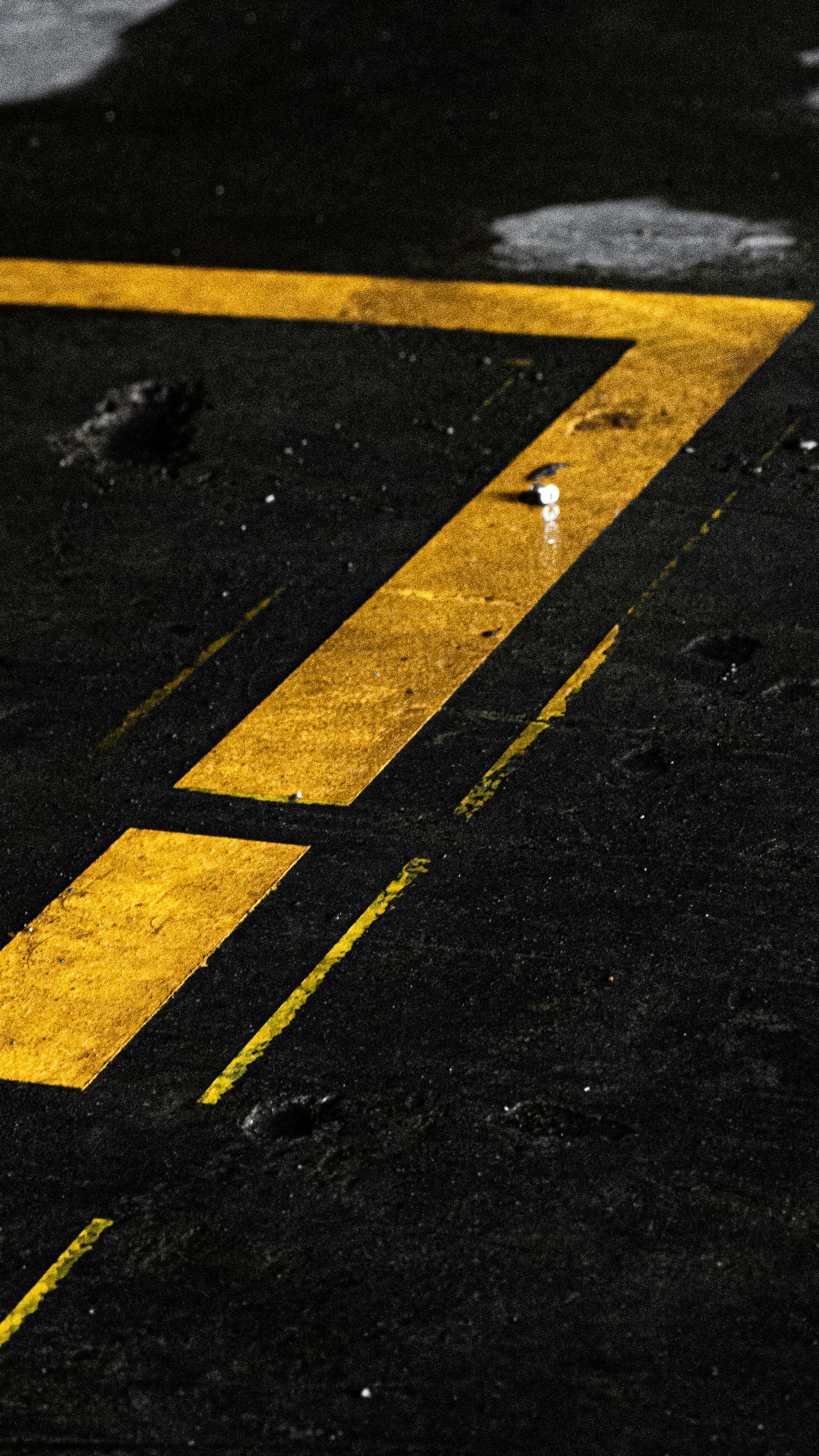 pexels-alimuart-15971485