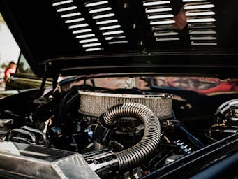 pexels-alteredsnaps-16234303