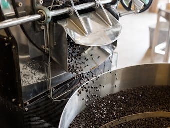 pexels-andrew-31953354