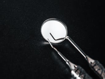 pexels-andrii-kushniruk-459215840-15613758