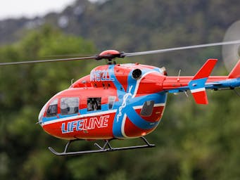 pexels-arnauld-van-wambeke-8658819