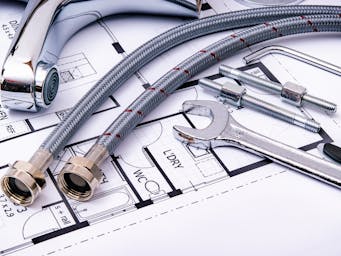 pexels-asphotograpy-14953886