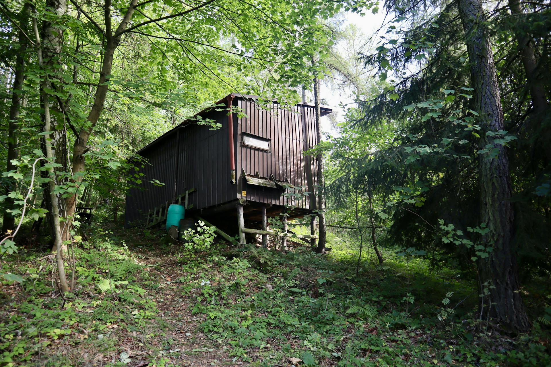 pexels-auge-34074839