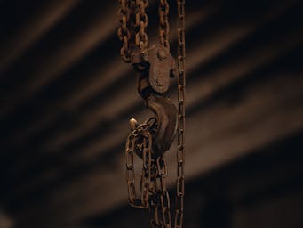 pexels-benjaminfarren-14705218