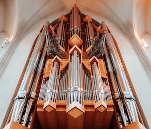 pexels-bertellifotografia-4558718