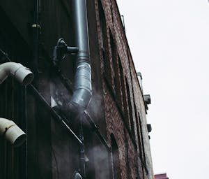 pexels-brett-sayles-1000748