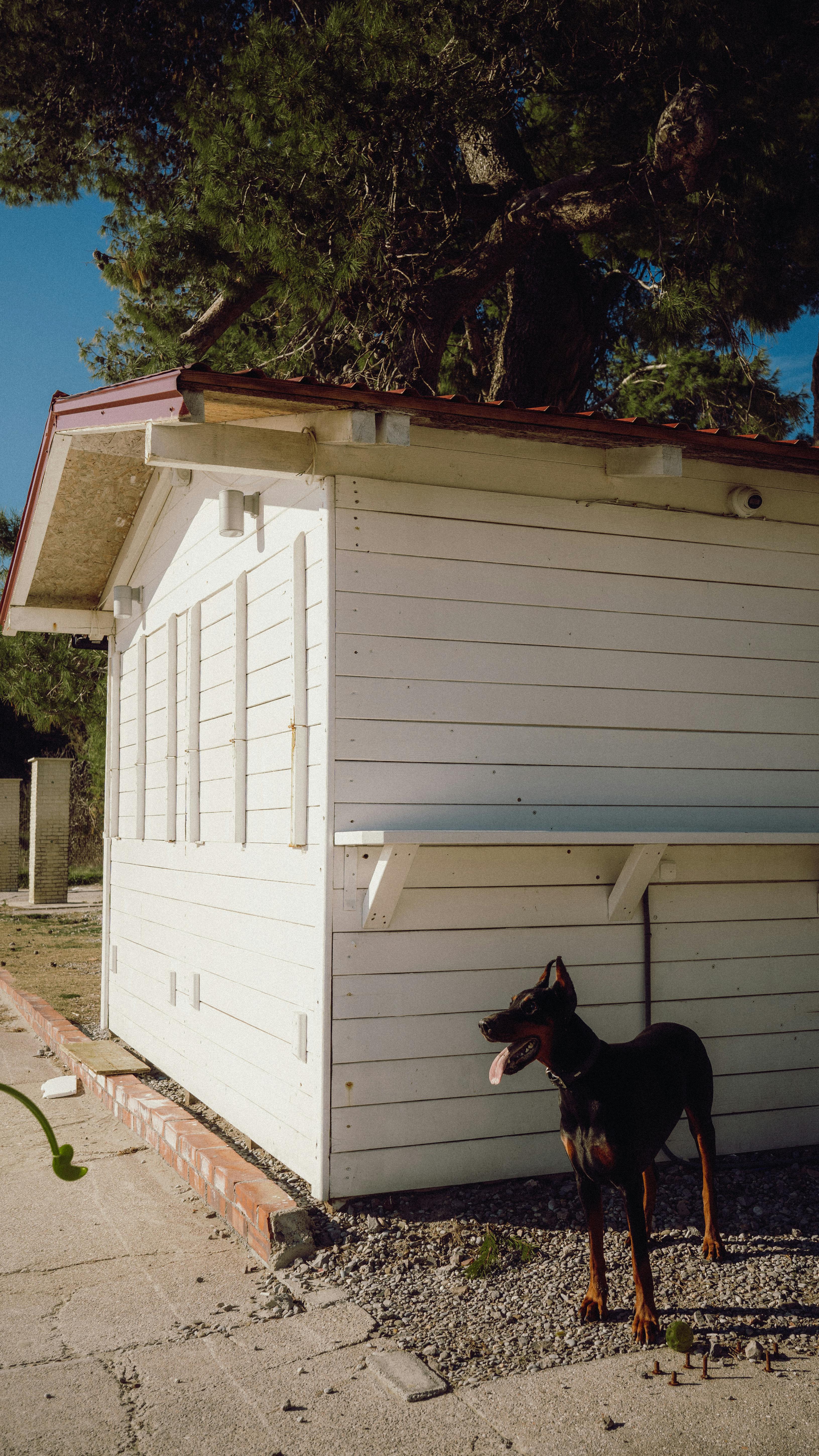 pexels-bynikolavu-30431214