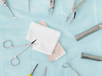 pexels-cedric-fauntleroy-4269355