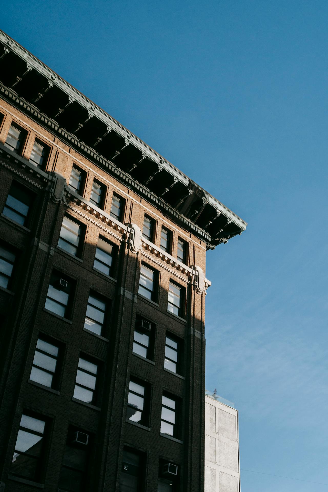 pexels-charles-parker-58455502