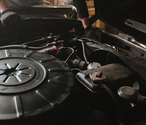 pexels-cottonbro-44897651