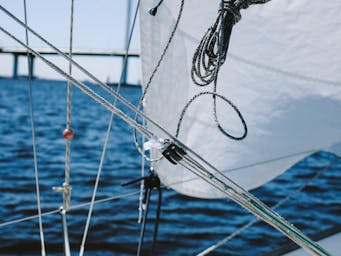 pexels-cottonbro-4928899