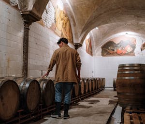 pexels-cottonbro-55377901