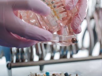 pexels-cottonbro-6528782