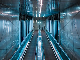 pexels-cripsdog-13100372