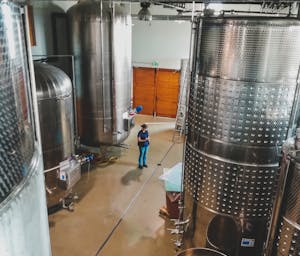 pexels-czapp-arpad-3647289-10484963