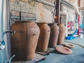 pexels-czapp-arpad-3647289-6147480