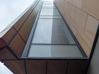 pexels-damright-19783674