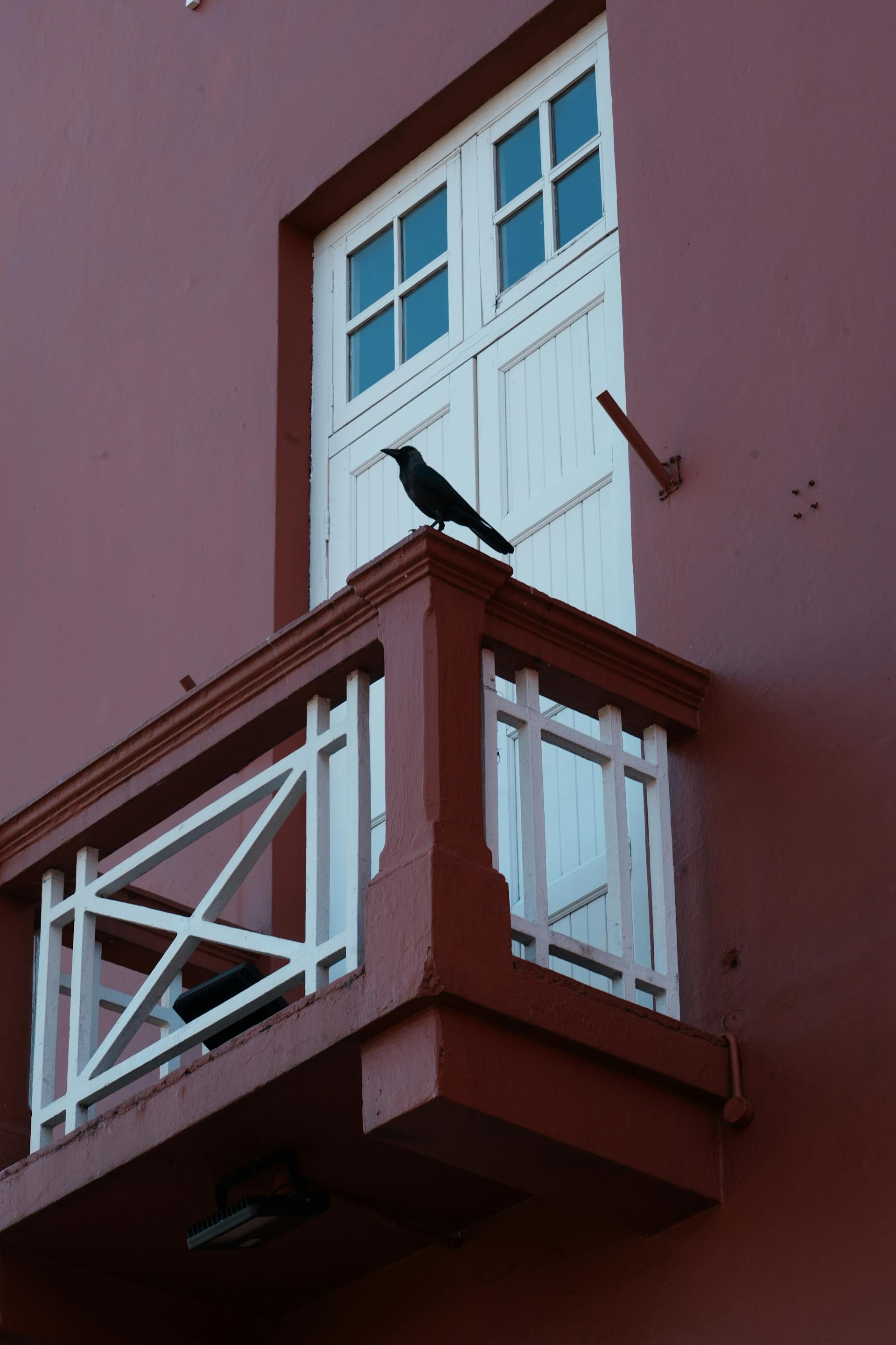 pexels-dannyfeng-339767871