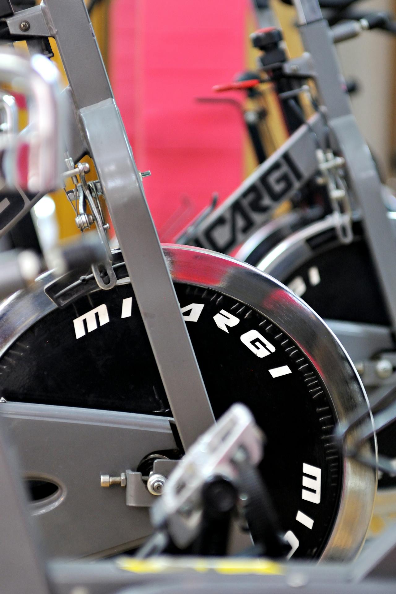 pexels-davegarcia-35567443