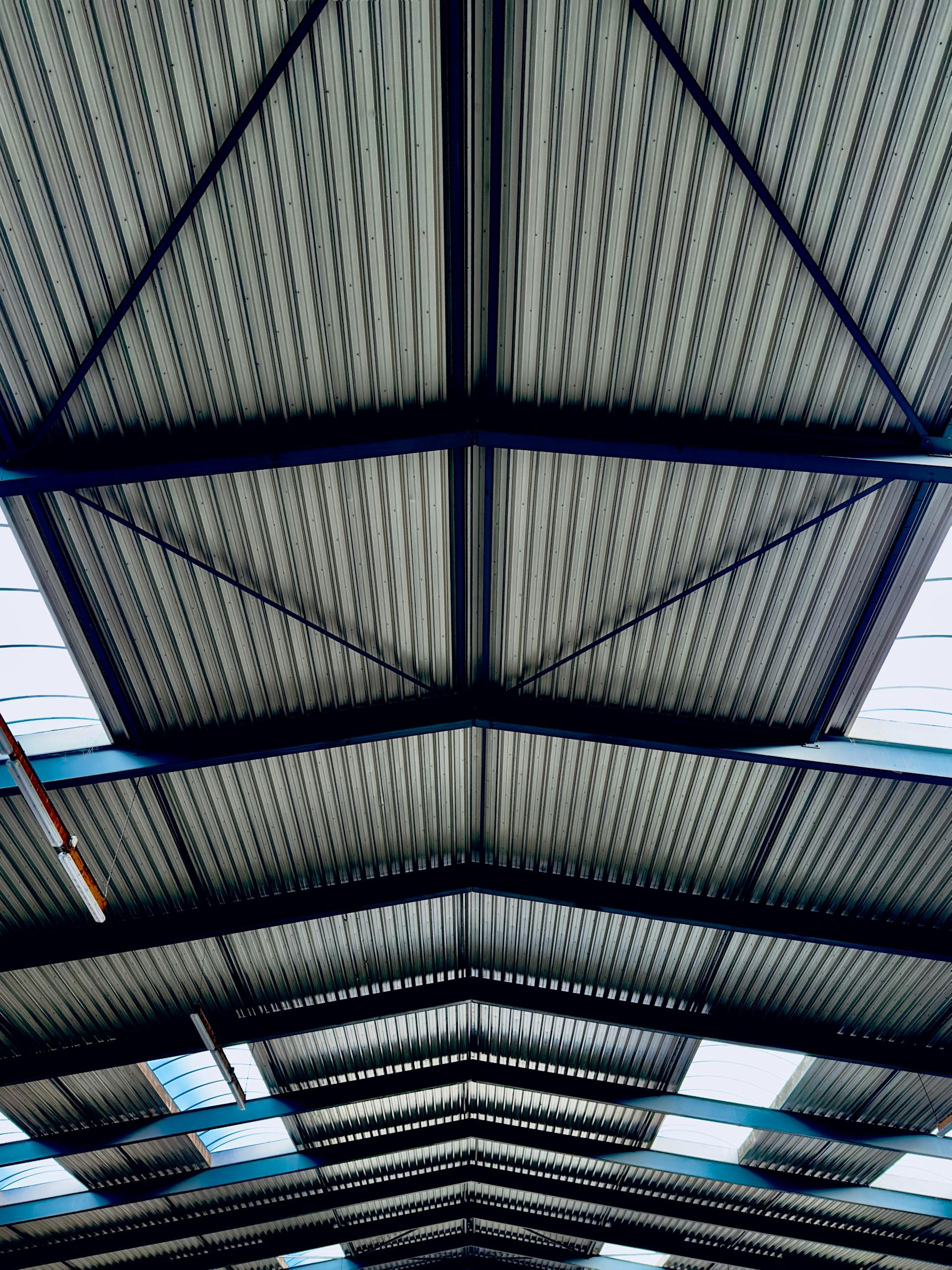 pexels-david-underland-34006092