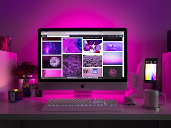pexels-designecologist-1779487_(1)