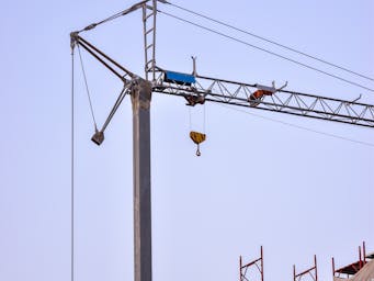 pexels-didsss-10064817