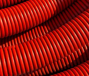 pexels-didsss-19200190