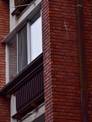 pexels-didsss-9654657