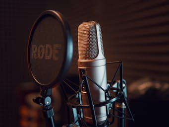 pexels-dmitry-demidov-515774-3783471