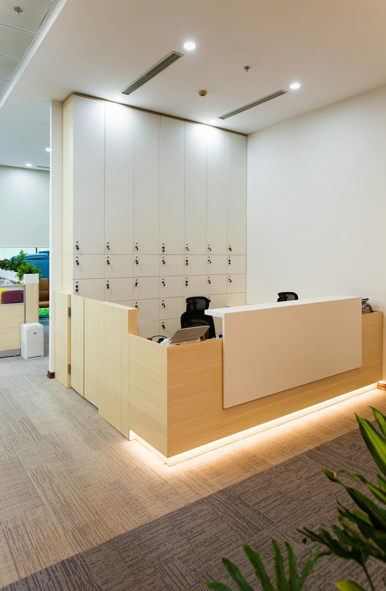 pexels-doan-thanh-binh-2147604563-36631639