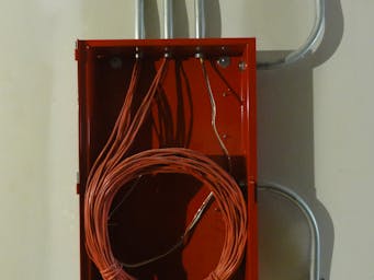 pexels-edgar-soto-18905644-6486694