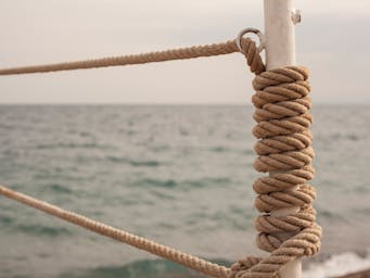 pexels-enginakyurt-1457785