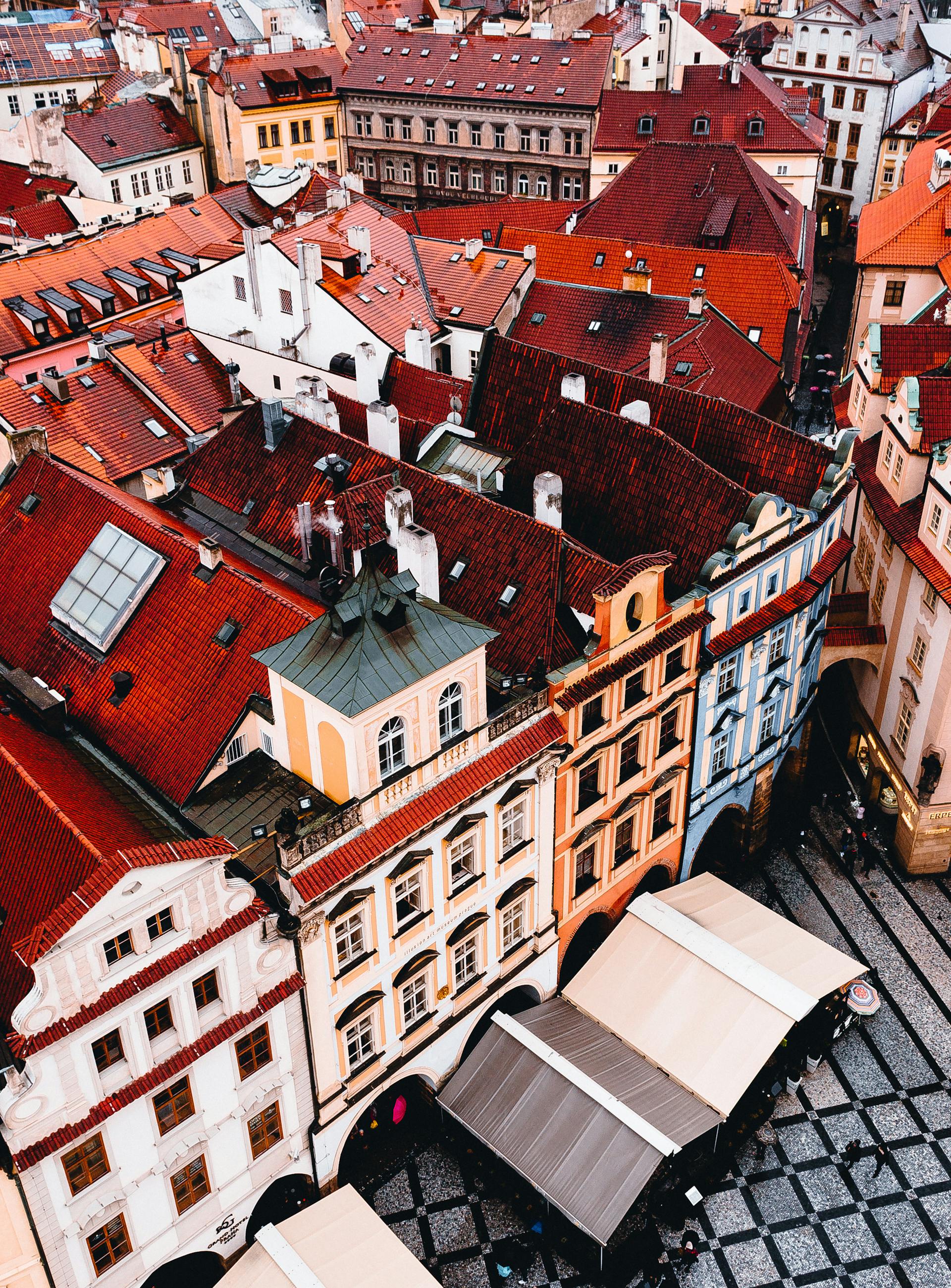 pexels-eusouomatteus-6153689