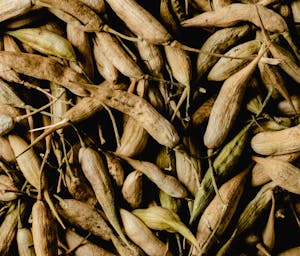 pexels-eva-bronzini-5988310