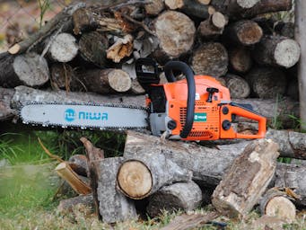 pexels-ezequielguerrero46-7255487_(1)3