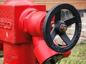 pexels-fagun-shahriar-2150620099-317940841