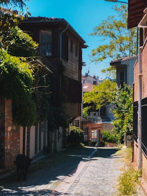 pexels-feyza-431207832-32250052