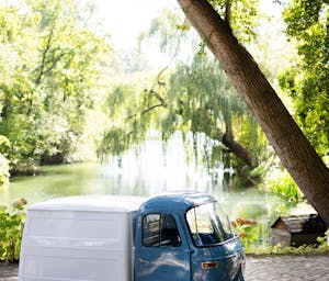 pexels-filipp-romanovski-297235844-19075627_(1)